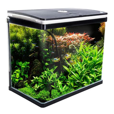 buy aquarium fish online india|Buy Aquarium Fish Online: Aquarium Tanks & Plants.